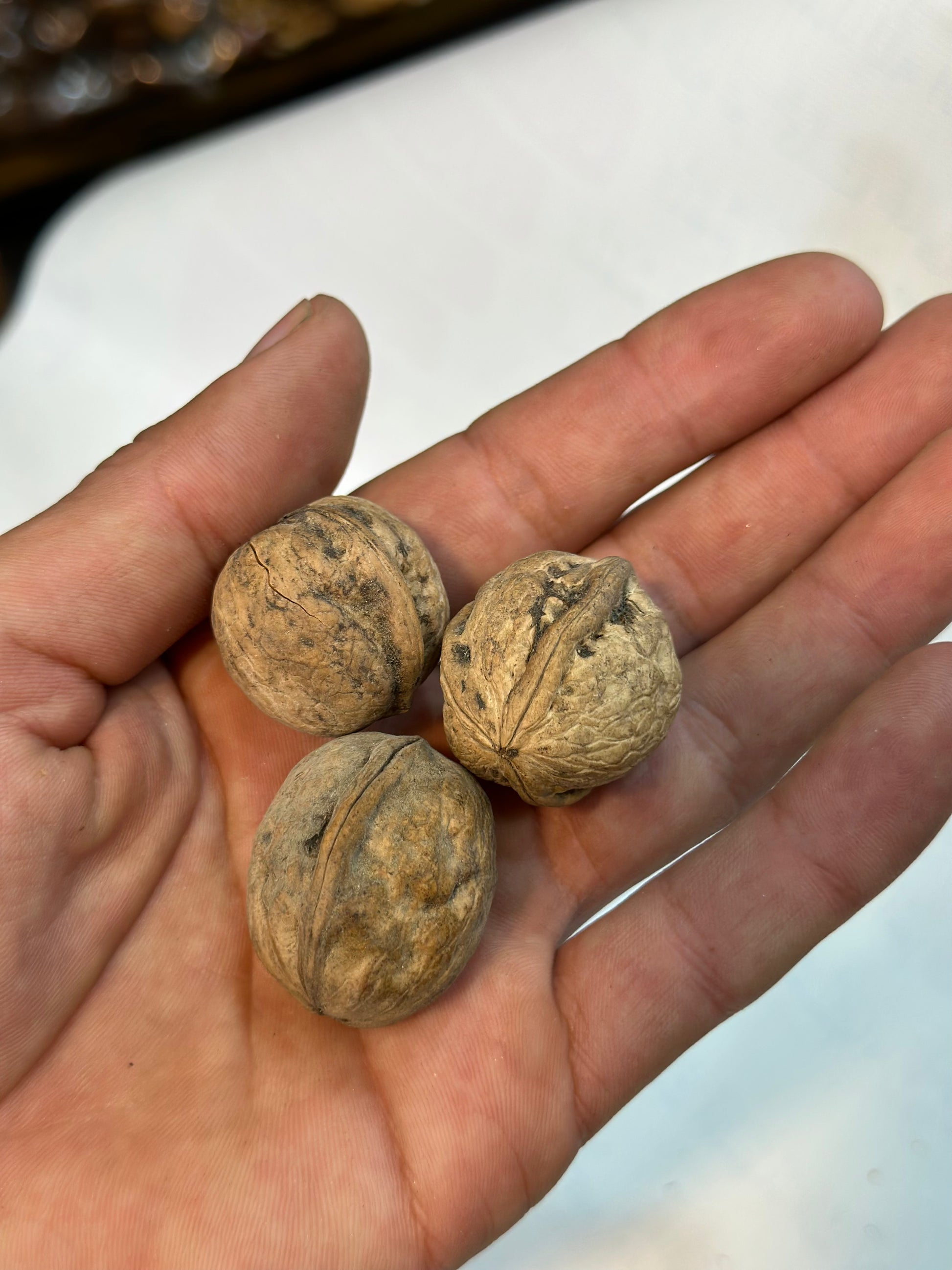 Desi Walnuts from Gilgit-Baltistan dry deilsh