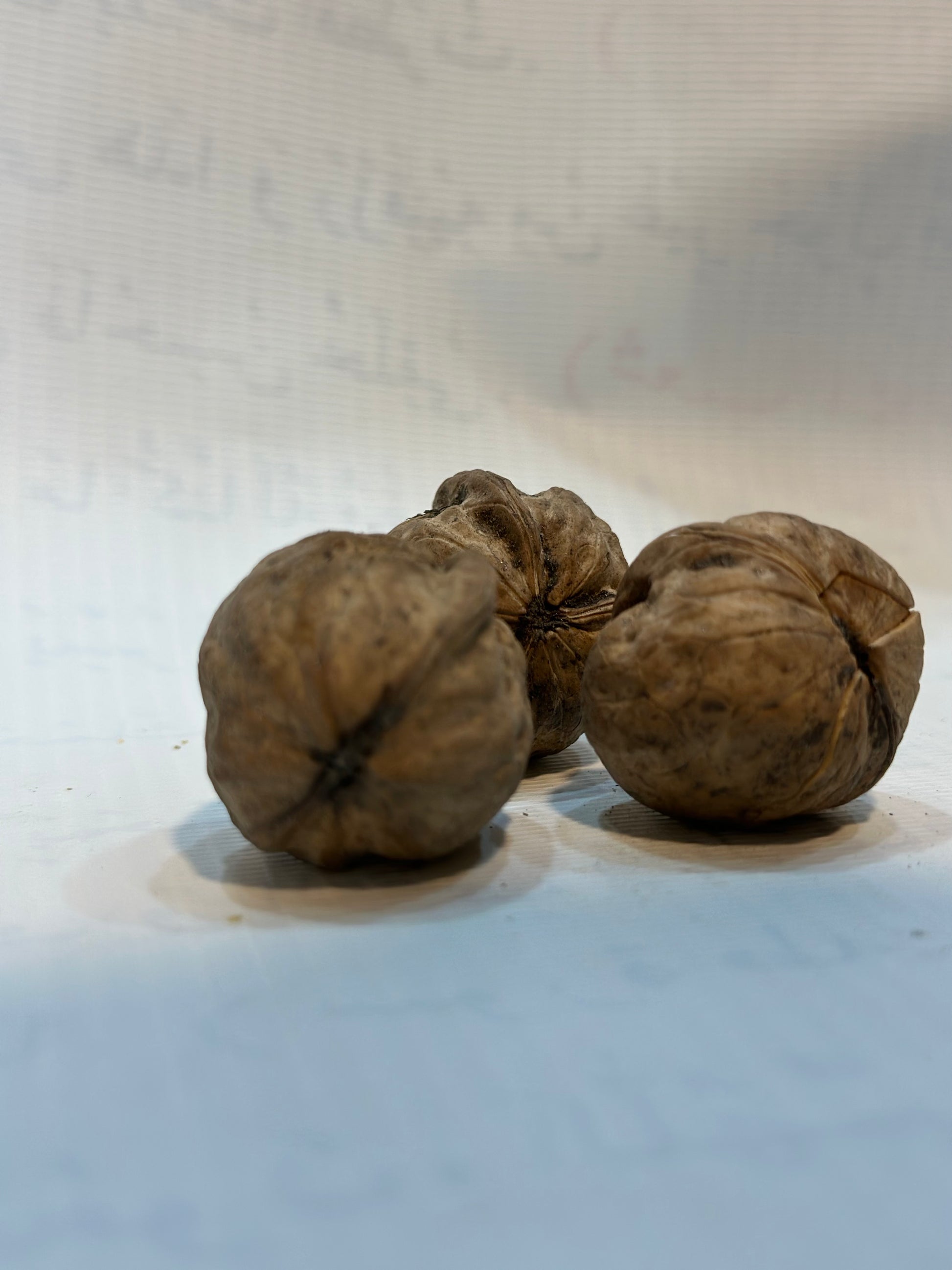 Desi Walnuts from Gilgit-Baltistan dry deilsh