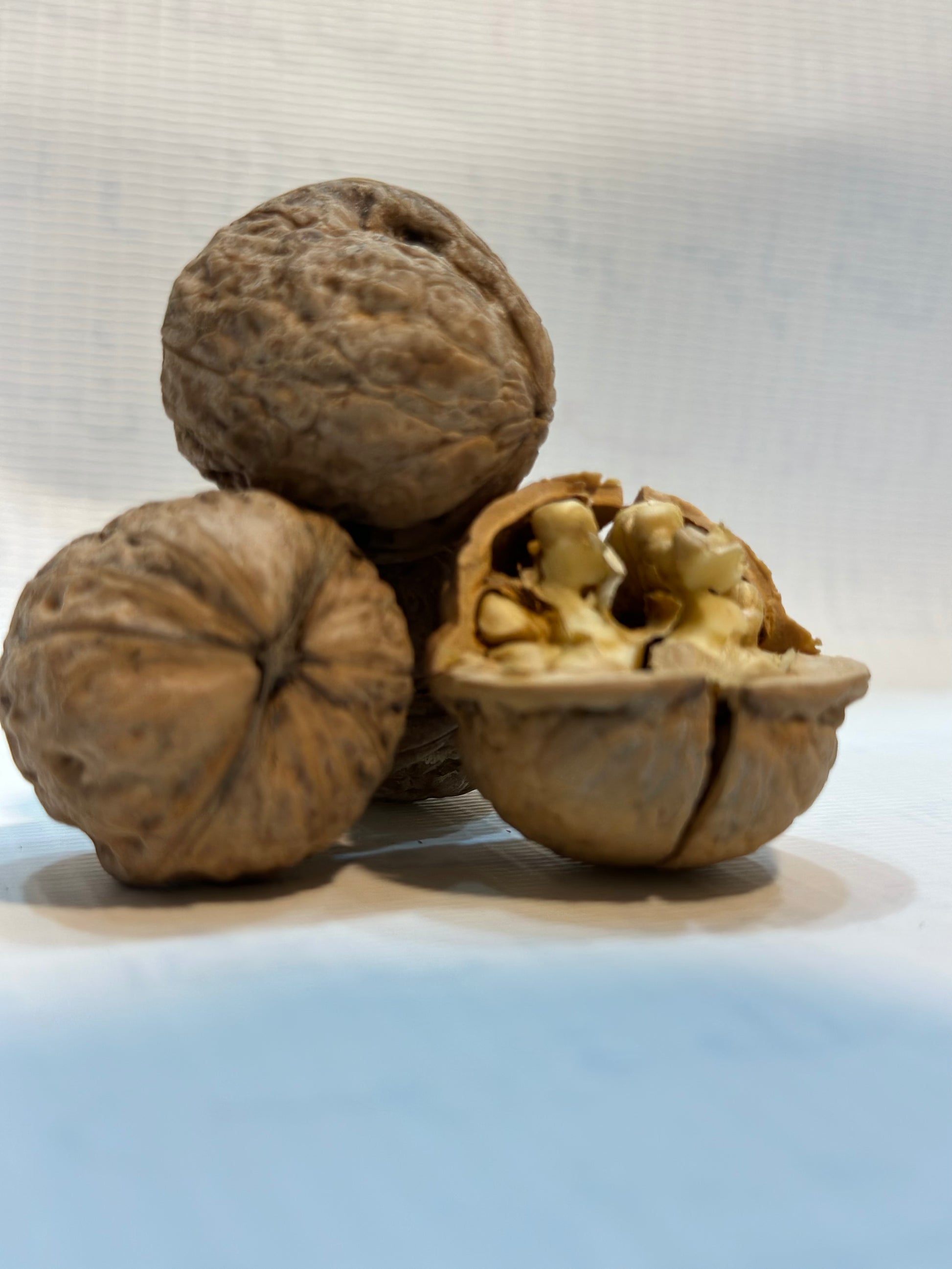 Premium Quality Walnuts - Drydelish