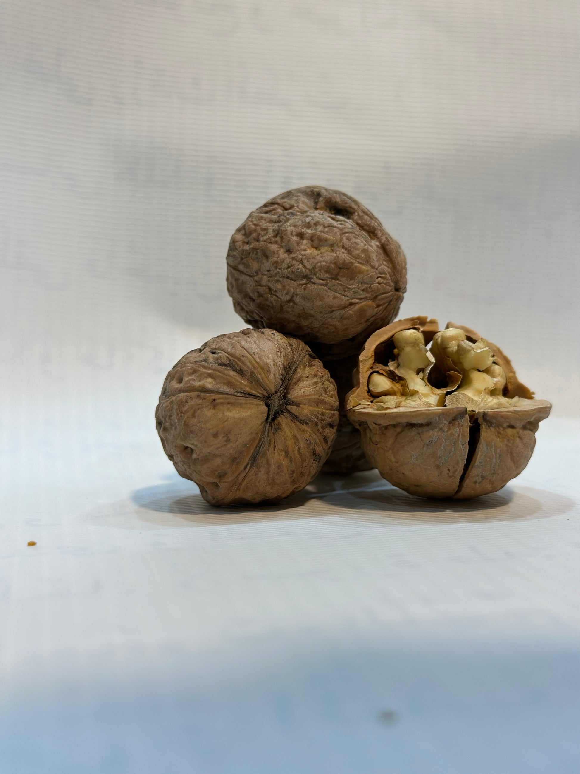 Premium Quality Walnuts - Drydelish